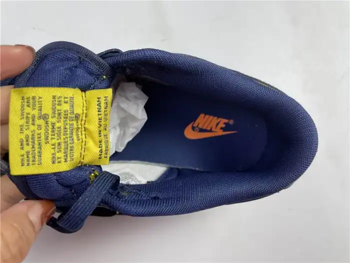 Rep TBkick Nike Dunk Low Michigan DD1391-700 0131