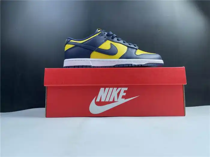 Rep TBkick Nike Dunk Low Michigan DD1391-700 0131