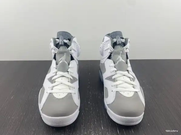 Reps TBkick 6 Jordan Cool CT8529-100 Air Grey 0221