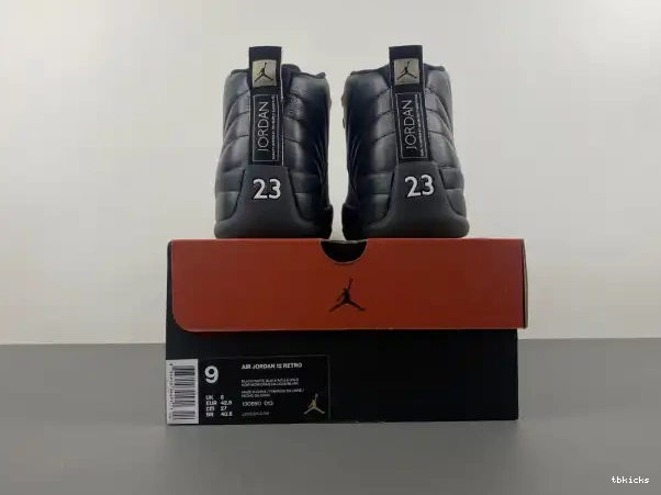 Rep TBkick 12 Jordan Master The 130690-013 Retro Air 0212