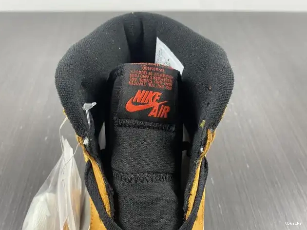 Rep TBkick High Gore-Tex Curry Element DB2889-700 Jordan 1 Light 0207