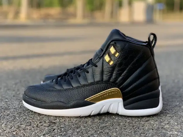 Cheap TBkick Metallic Retro 12 Jordan Air 'Reptile' Gold-White AO6068-007 Black 0208