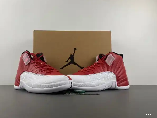 Reps TBkick Alternate Jordan 130690-600 12 Air 0217