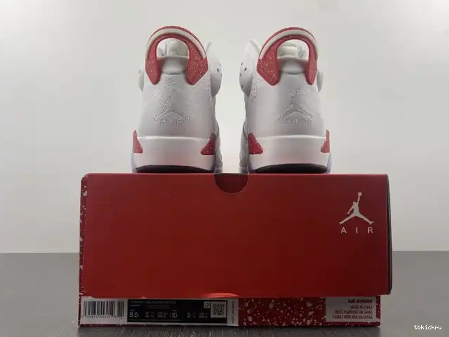 Reps TBkick Retro Jordan CT8529-162 Hare 6 0223