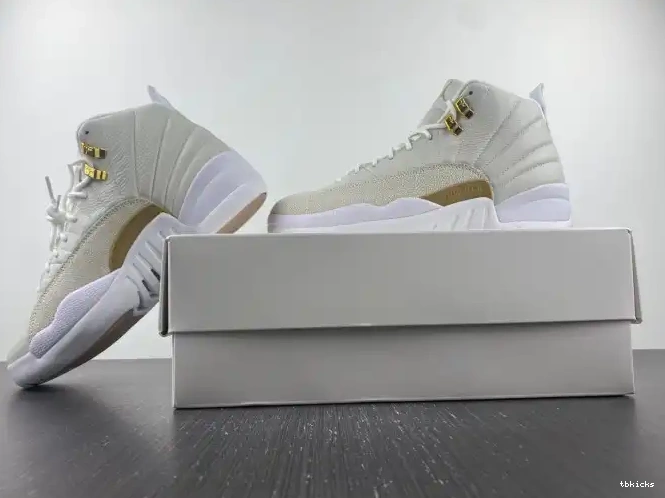 Cheap TBkick 873864-102 Jordan 12 White Retro OVO 0223