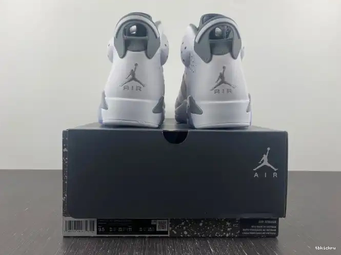 Reps TBkick 6 Jordan Cool CT8529-100 Air Grey 0221