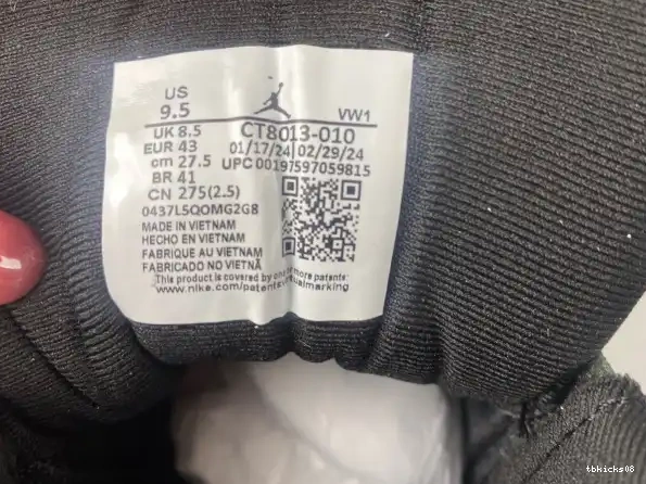 Reps TBkick CT8013-010 Jordan Barons 12 Air 0220