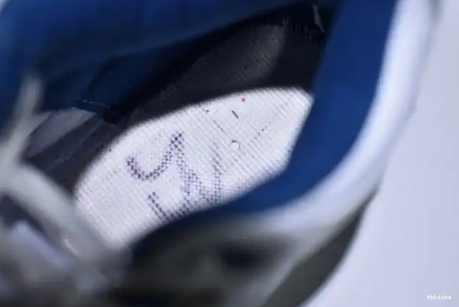 Reps TBkick Jordan Air Retro True Look Nike 3 854262-106 Blue Air First 0315
